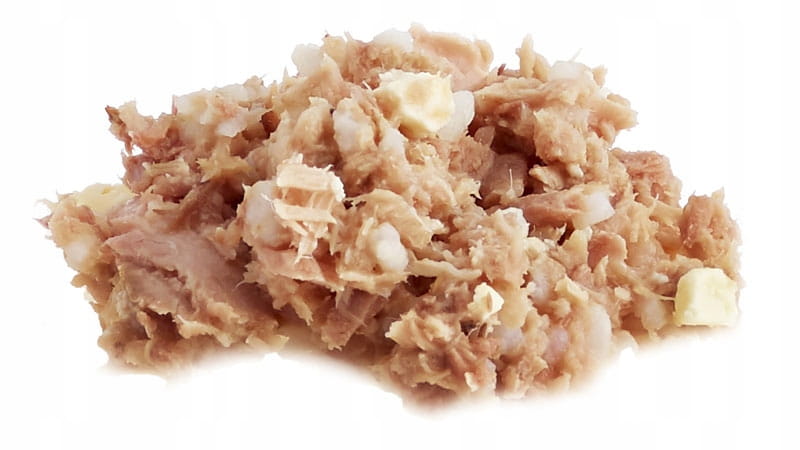 Fish4Cats mokra karma dla kota filety z tuńczyka z serem bez glutenu 70g 3