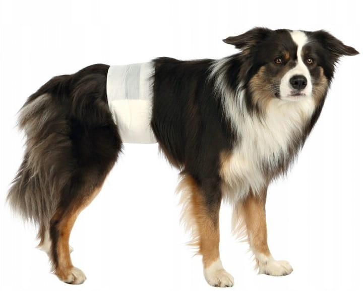 3fd88275900b8e805b33bbd3b655fe75