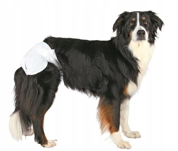 473889d277cd61024f59d6b30282213a