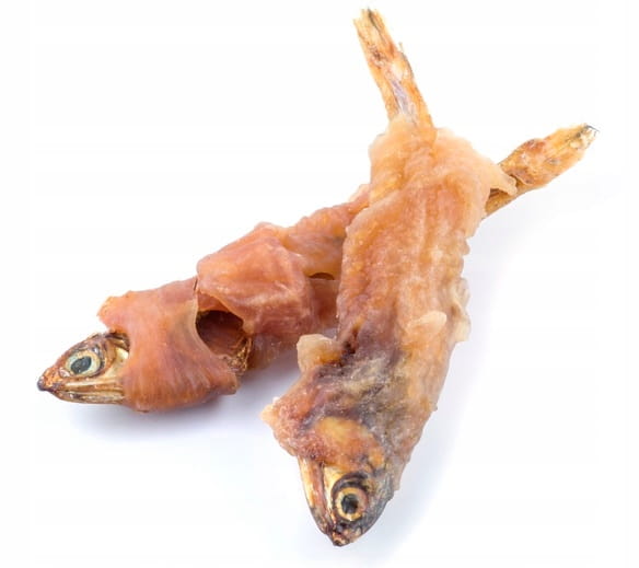 06e842b2eb24a46e0d96d0dfbeb3d83c