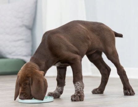 41480ff320340f508734e00009f46296