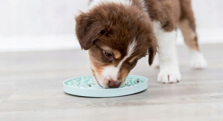 8df45659c74989c74833c6cd81ae8060