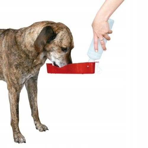 1277e3cc332bc9a8fca70c5bef6fb478