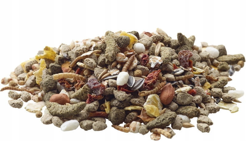 d05e3ea620518418378c101e27b4a9fe