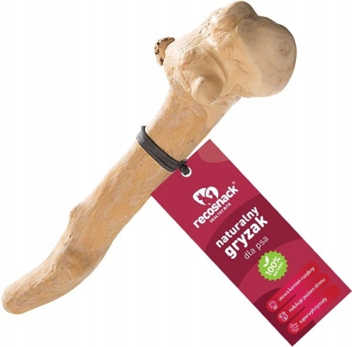 Recosnack Patyk z drzewa kawowego Gryzak XL Stick