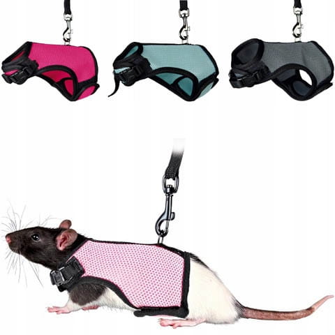 33c55b745def5afedc7ea8afbf366c64