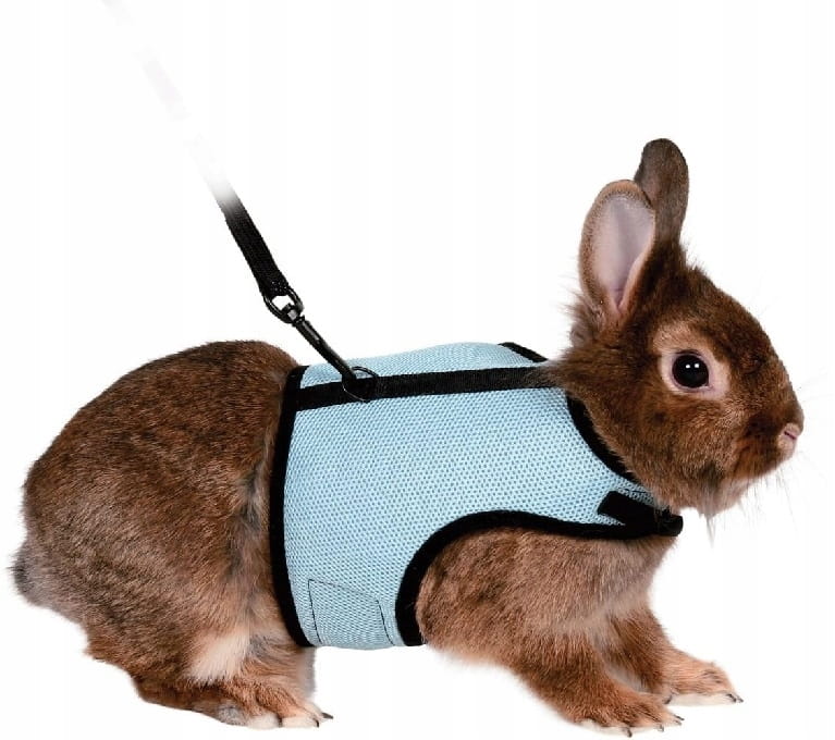 99a0beb06c865e492054c17b471eb8c9