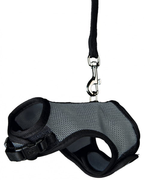 d94afb2335c82f3e4756421ad56628de