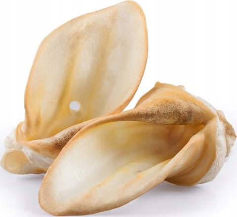 USZY WOŁOWE DUŻE BIAŁE I gatunek 10 sztuk ok. 500g