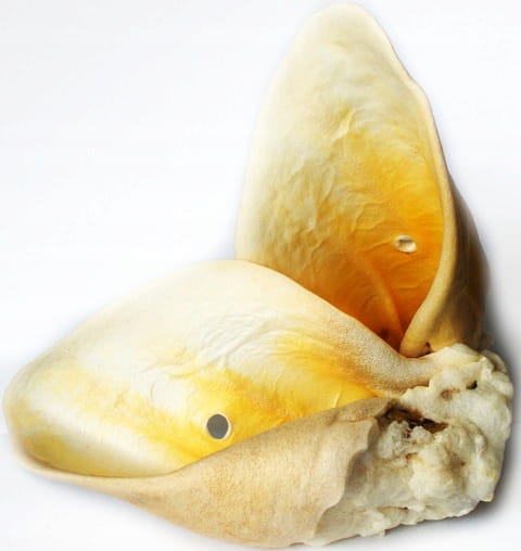 4de3f578fbf8d33c2af80522c5c353c2