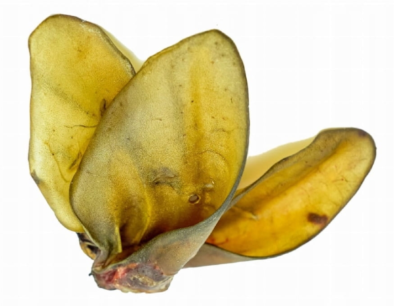 1b9d18edee631bc9d2e00756309b7f2a