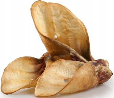 989f69eb0383295f0a7ce2c9d82ff4ff