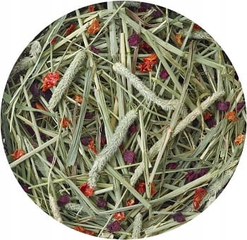 5ef360b76bebf842b2cf6ff44dfb9909