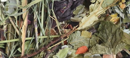 c41d43ba22029936fe3733e770b231be