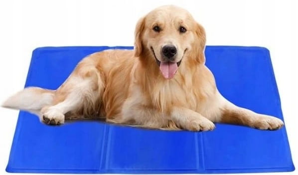 3f0c61709a4658131a0f945d323f35b8