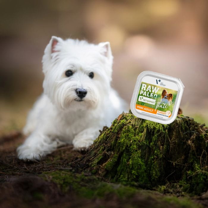 Raw Paleo Pate Mini Adult Turkey 150g pies.jpg