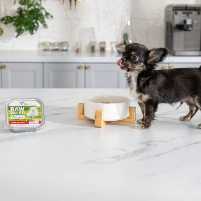 Raw Paleo Pate Mini Puppy szczeniak.jpg