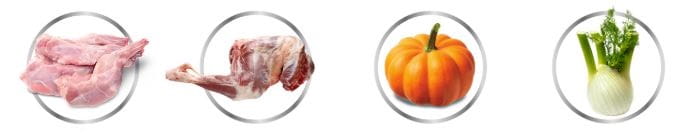 251f1e5b8246f11df41ddaab4eed730a