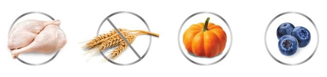 6f61de5204c8a7cc328d665adb9c9b8c