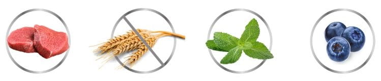 41951e07dea82308193aafcbe6add2f1