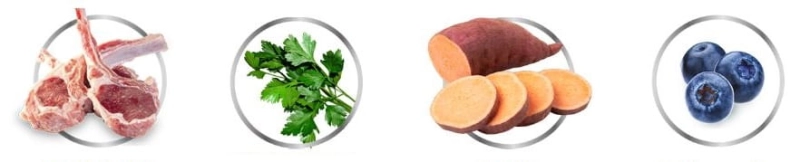 51b33a3cc35aab834965dd8bb3711e8c