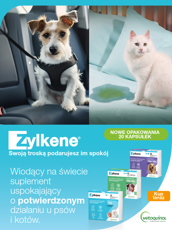 Zylkene suplement uspokajający dla psa i kota Zoorro
