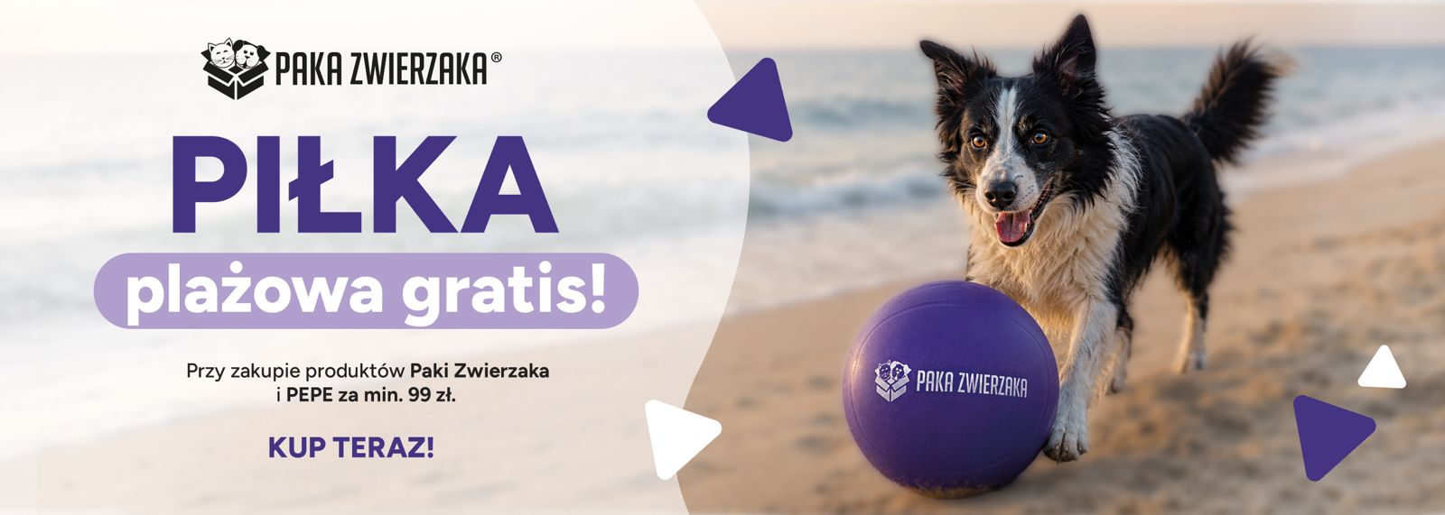 Paka Zwierzaka piłka plażowa gratis Zoorro