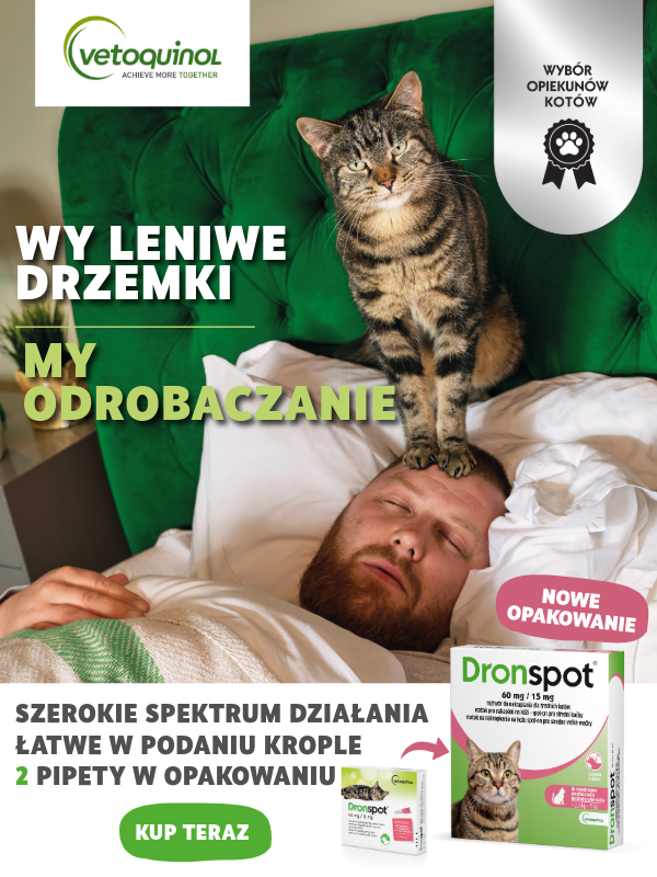 Dronspot krople dla kota na odrobaczanie Zoorro